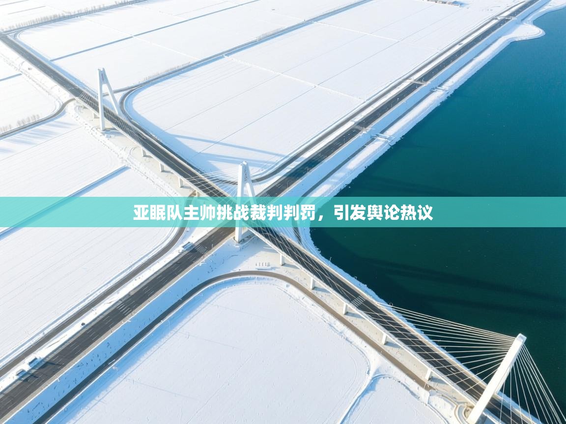 亚眠队主帅挑战裁判判罚，引发舆论热议  第1张