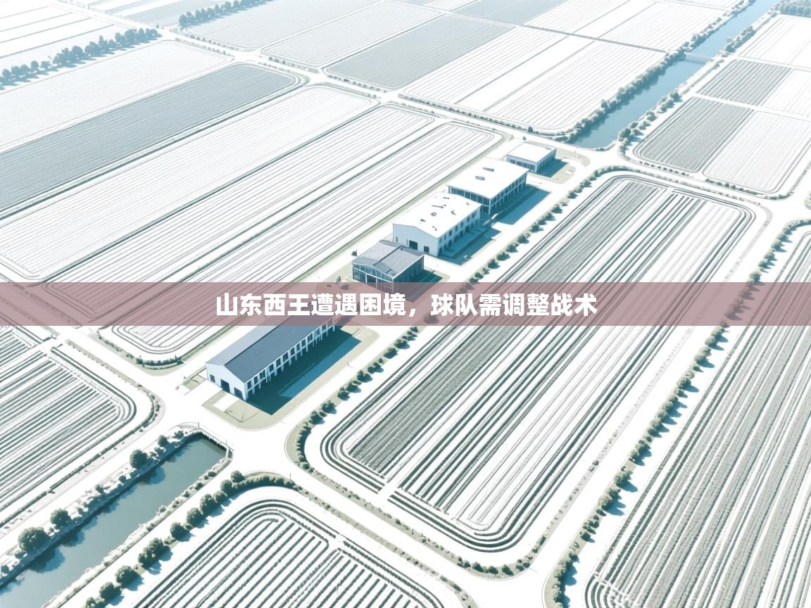 山东西王遭遇困境,球队需调整战术 第2张