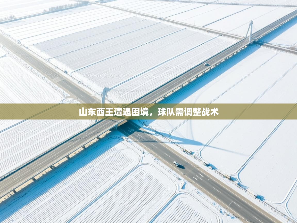 山东西王遭遇困境,球队需调整战术 第1张